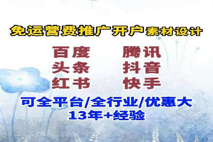 某行业领军企业的SEM广告投放策略